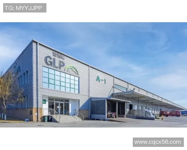 建侬体育品牌工厂店的购物体验与产品质量全面评测分析